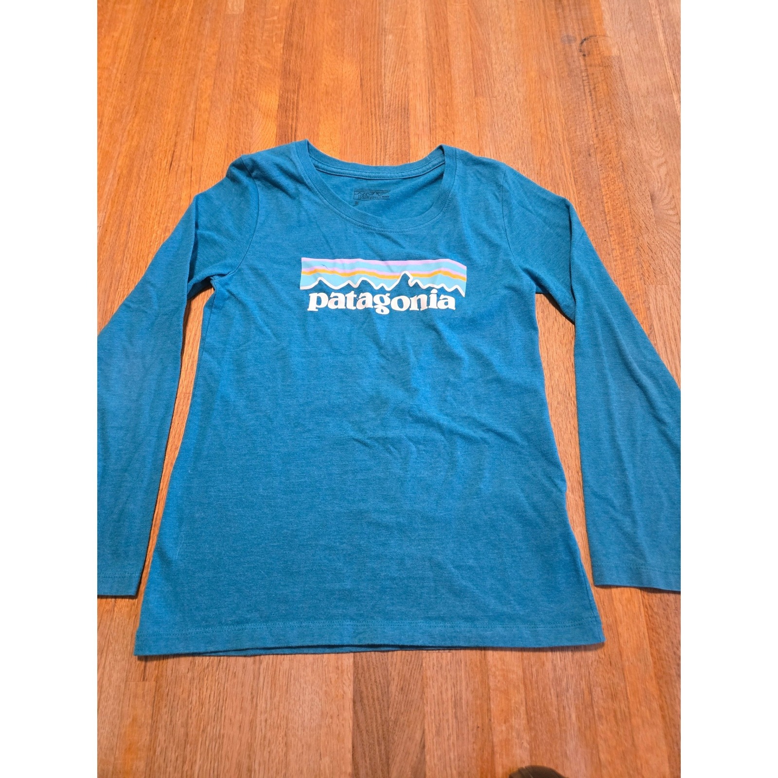 Patagonia Boys Medium 10 Teal Blue Long Sleeve Logo Graphic Crewneck Shirt